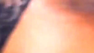 She Said Fuck It, Let's Record This - Water Park Wet