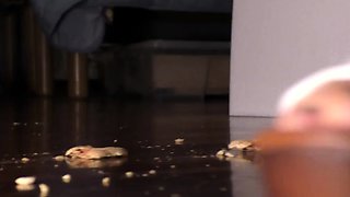 amateur his tall blonde fetish masturbating on live webcam
