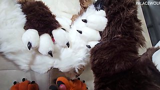 Amateur hooker pounded hardcore in her slit in the sex bus