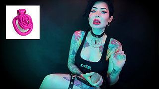 Wear the Clitty Chastity for a Month Let's Shrink Your Leftover Shrimp Locktober Shrinking