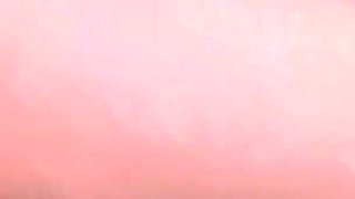 Anal Dream Vol.2