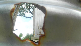 Latin Delicacies in the Cabin