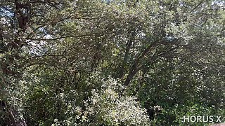Chubby French Teen Elektra Fucks Tom in the Woods