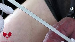 Perfect sperm extraction directly from the urethra. Close-up of the sound of a glass straw