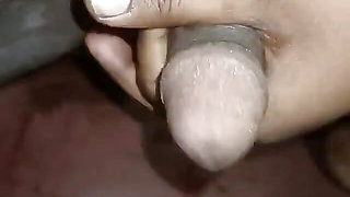New Xvideo