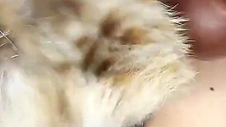 Sex Fur Doll for Rich Men