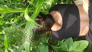 My real sister-in-law, the elder brother's housewife, had been asking for many days to make a mare in the open forest field and leave it, today I told my sister-in-law to farm maize in the open forest.