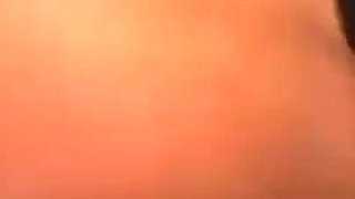 Two Cocks for a Lady (full Movie Centoxcento)