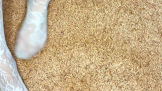 Rubbing my legs in stocking and thong and screwing around