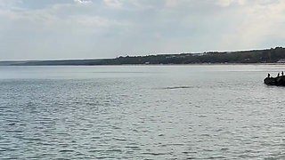 I love masturbating on the beach.