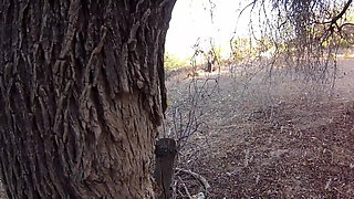 Hot Latina gets hardly fucked outdoors