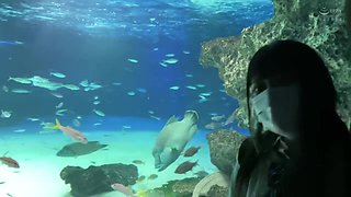 0011563_素人 かわいい 四つん這いなどが含まれている