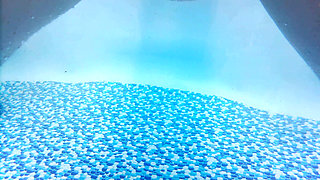 Come with Me to the Pool