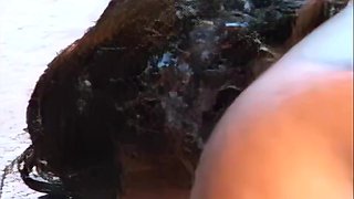 Black Chunky Chick Hot Porn Video