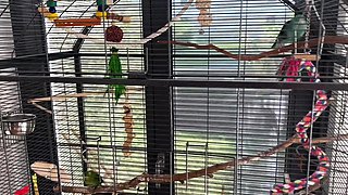 Tranny Sucks Me Off At The Lake