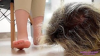 Yes Yes(4k)60fps - Darkhaired Babe