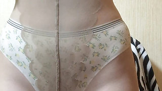 Me in panties is all you want