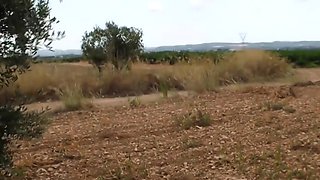 pipé par une garce en promenade