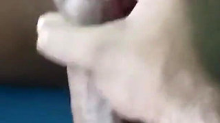 I Fuck Your Brother Really Well While He Waits for You, Over and Over Again.