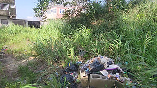 Two Lovers Traveling by Road Decided to Fuck in the Bush When There Bus Has Issued