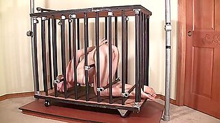 Rachel Greyhound Naked in a Cage
