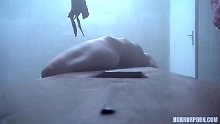 Horror Porn 6 Twisted desires