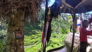 Big booty Thai girlfriend garden sex