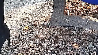 Pee Compilation 2024