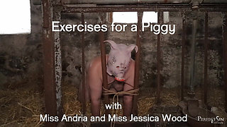 Exercises for a Piggy