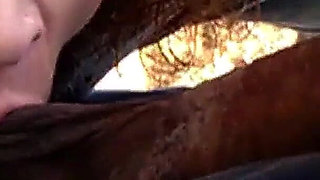Sucking Black Cock in the Bushes