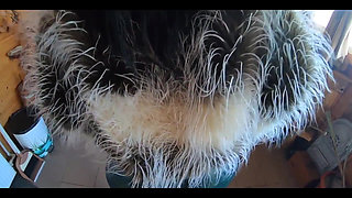 Tight Green Leather Pants Cameltoe Blowjob & Doggy with Cum on My Fur Coat & Downjacket- Preview