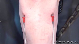 Balls Are There For Kicking - Calea Toxic