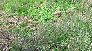 This Turkish Woman Is Crazy! I Take Out My Big Cock and Fuck Her Outdoor!