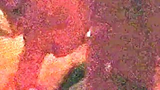 Hot Wife Caught Sucking Dick in the Dark
