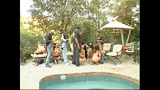 Black in the Heart and Beyond!