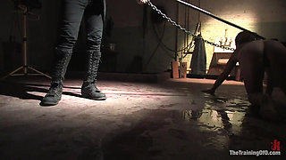 The Training of Dia Zerva, Day Four