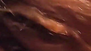 Pregnant Wife Gives Blowjob Black Dick