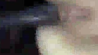 Homemade Husband and Wife Fucking pp