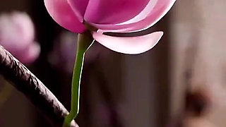 Apex Legends Lesbians Having Fun Rubbing Tight Bald Pussy