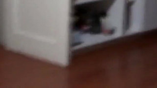 I Record My Wife's Sister Masturbating While Watching Porn