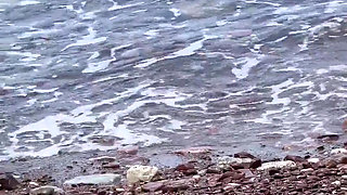 Super Risky Blowjob on Beach with 18yo Amateur Teen - Yoya Grey