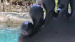 Worship Your Rubber Goddess by the Pool