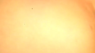 Your Pinay Personnal Teacher