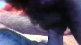 British brunette young amateur blowjob