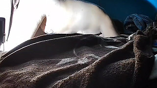 Puchis - Sexy MILF Jugoso Ruidoso Squirting