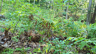 Naughty pissing at the campsite