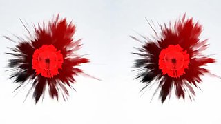 She s nice: Blowjob, Doggy  Cowgirl VR Porn