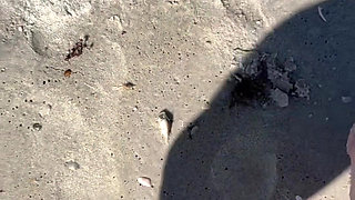 Day at the Beach with 67 Goddess