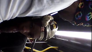 Brain's Blowjob on the Bus