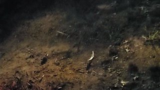 Blonde emo amateur solo masturbation